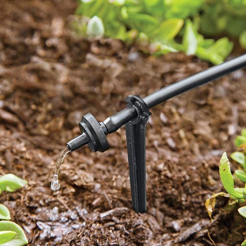 Patio plants watered by efficient drip irrigation