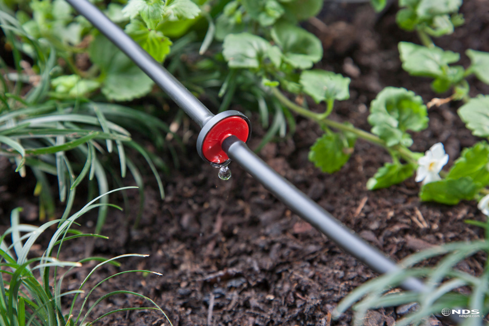 Button dripper on a drip system